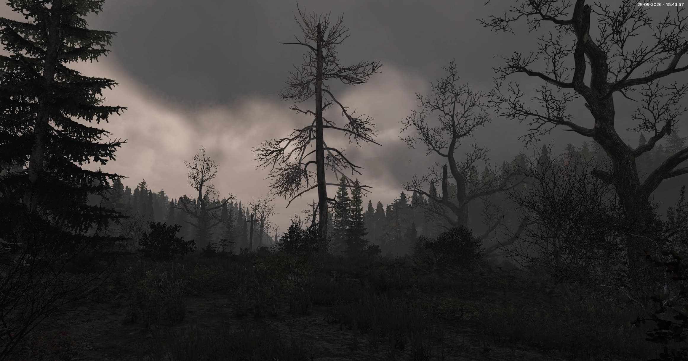 HumanityRP - sezon 14 w liczbach